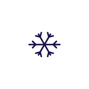indinature snowflake icon