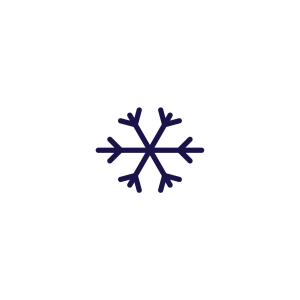 indinature snowflake icon